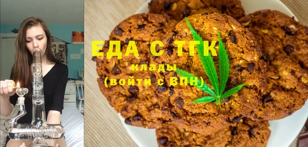 твердый Горняк