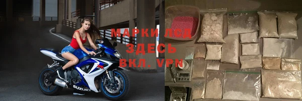 apvp Алзамай