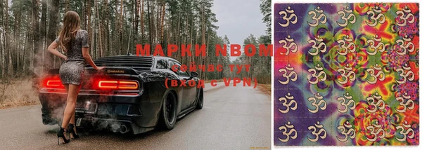 apvp Алзамай