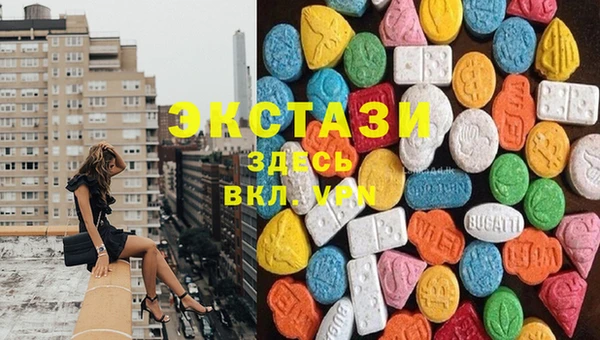 apvp Алзамай