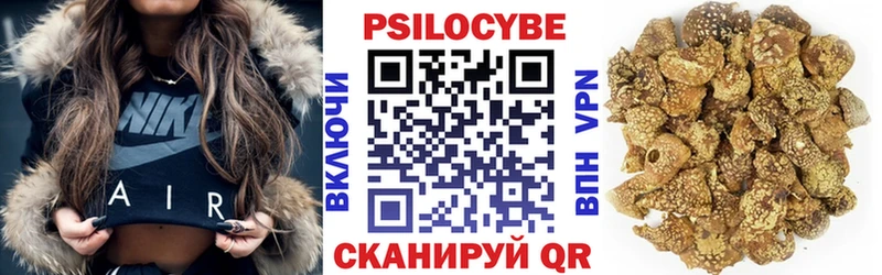 Галлюциногенные грибы Psilocybine cubensis  Среднеколымск 